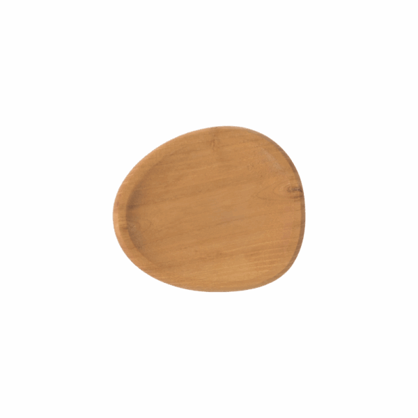 Aida Raw Teak party plate